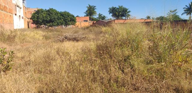 Oportunidade em planaltina DF vendo excelente lote de 1.150 metros no araponga - Foto 8
