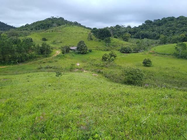 Fazendinha 15 alqueires Cariacica - Foto 5