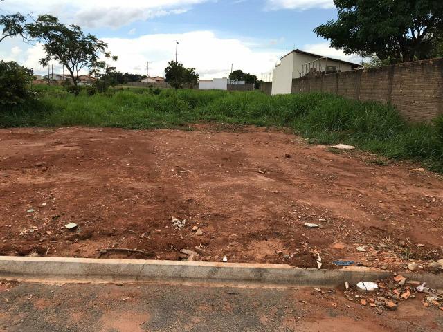Lote - Foto 2