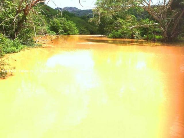 Fazenda para Venda, Itaguaçu / ES, bairro Distrito de Itaçu - Foto 2