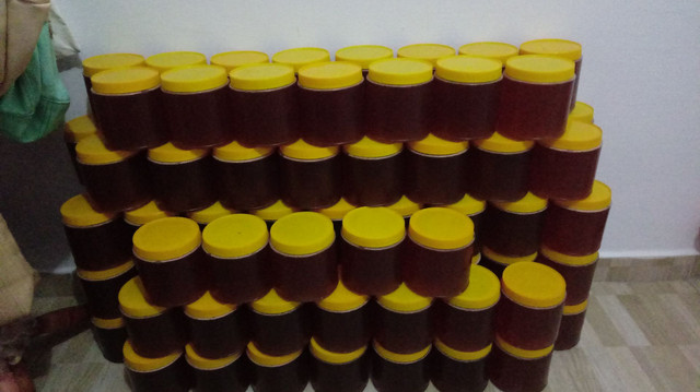 Mel de abelha 100% silvestre pote de 1 kg - Foto 5