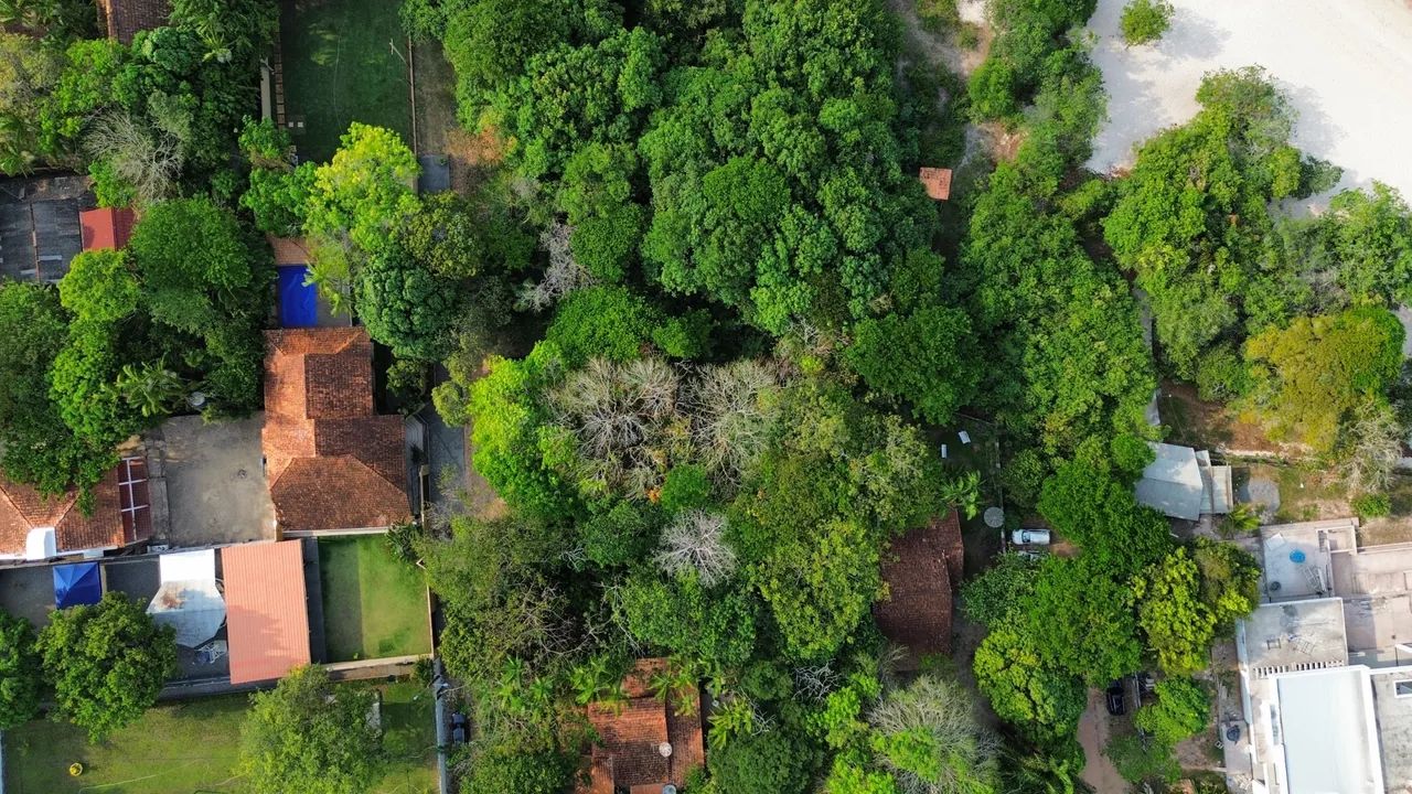 Terreno à Venda - Excelente Localização Próximo ao Lago Verde - Foto 3
