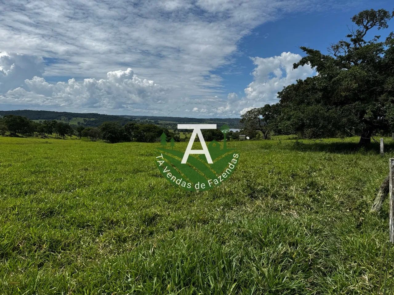 Fazenda de 95 alq em Ipameri-GO - Foto 5