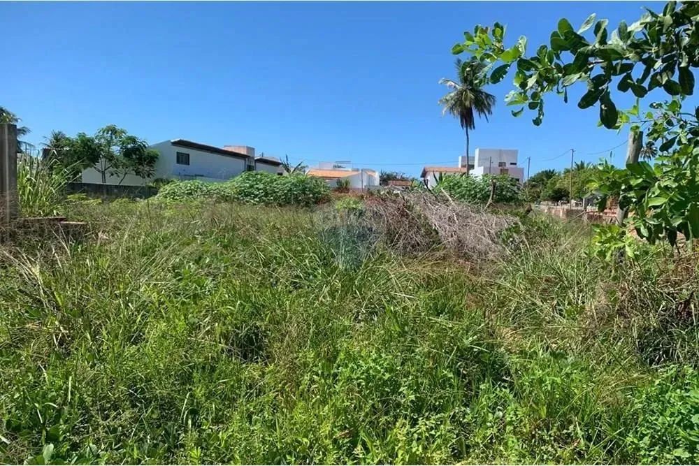 No Paraíso de Tatuamunha tem umTerreno esperando por você! - Foto 7
