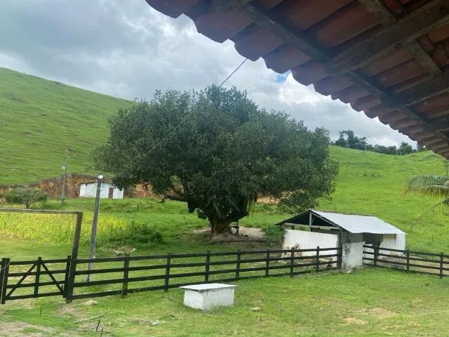 PROPIEDADE - Foto 2