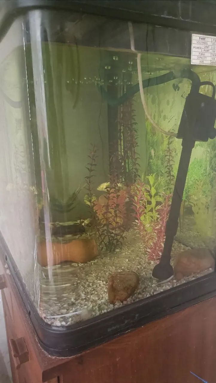 Aquário de 100L com Acessórios - Foto 5