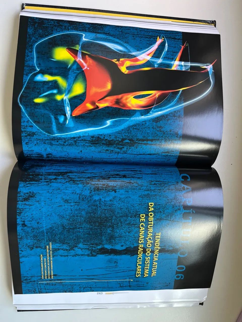 Livro Endodontia de Vanguarda - Simão Filho - Foto 3