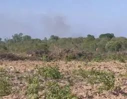 CERRADO MARANHÃO: Fazenda à venda de 52.000ha ideal para garantia bancária. - Foto 3