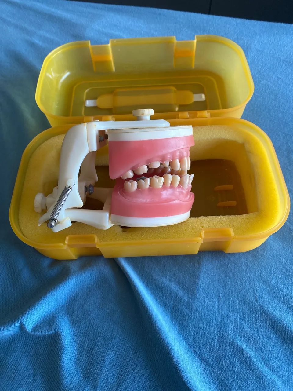 Manequim Dentística  - Foto 2
