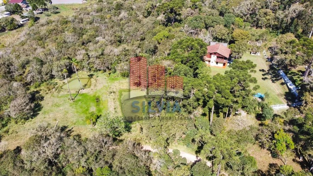Chácara em Quitandinha com 13.000 m2 - Foto 3