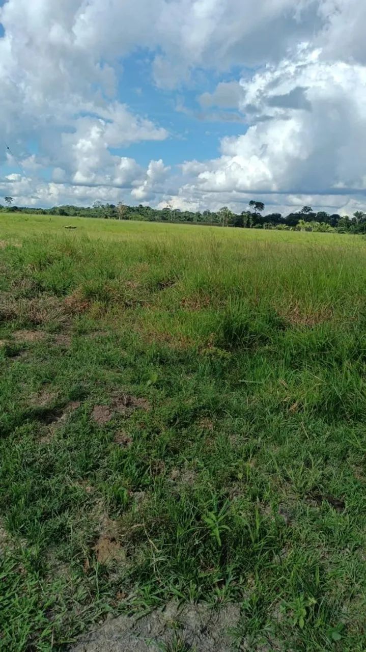 Terra a venda  - Foto 5