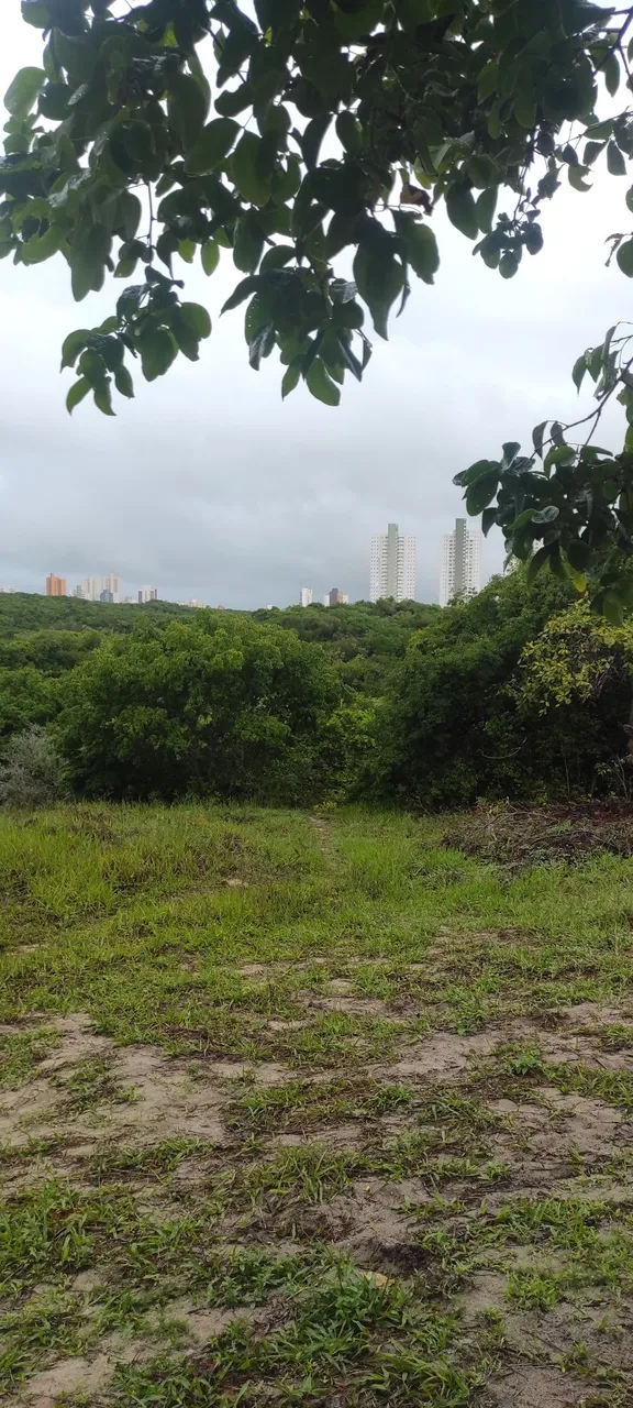 Vendo chácara no ? da Zona Sul de Natal