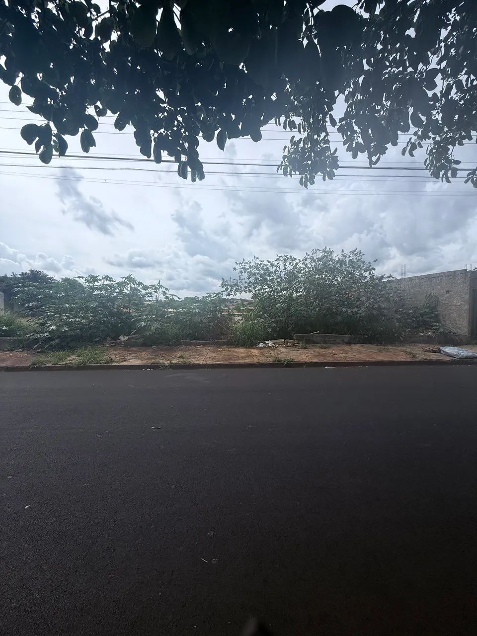 Terreno 420m Cidade Universitária - aceito veículos