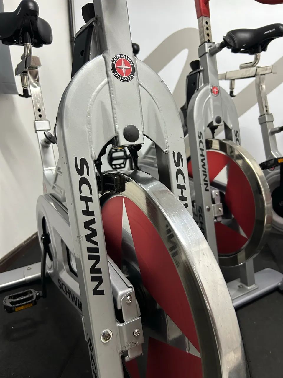 Bike spinning Schwinn profissional lote academia 