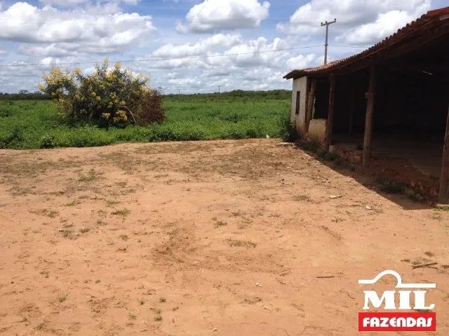 Fazenda no Sul do Piauí. 557 alqueire (2.700 Há)-(Beira Asfalto) - Foto 3