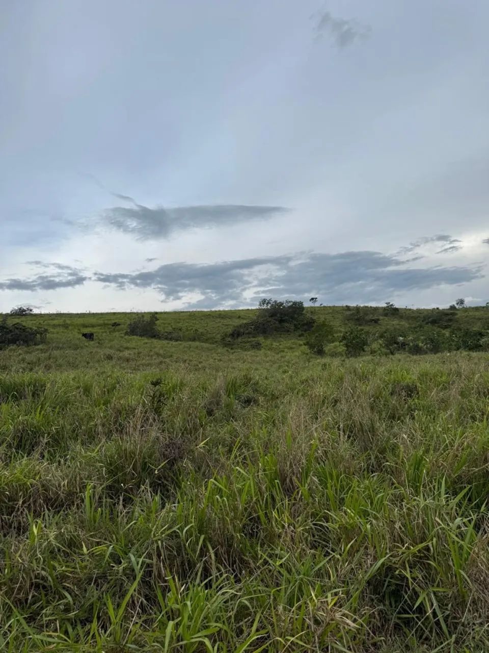 Fazenda de 25.5 alqueires  - Foto 5