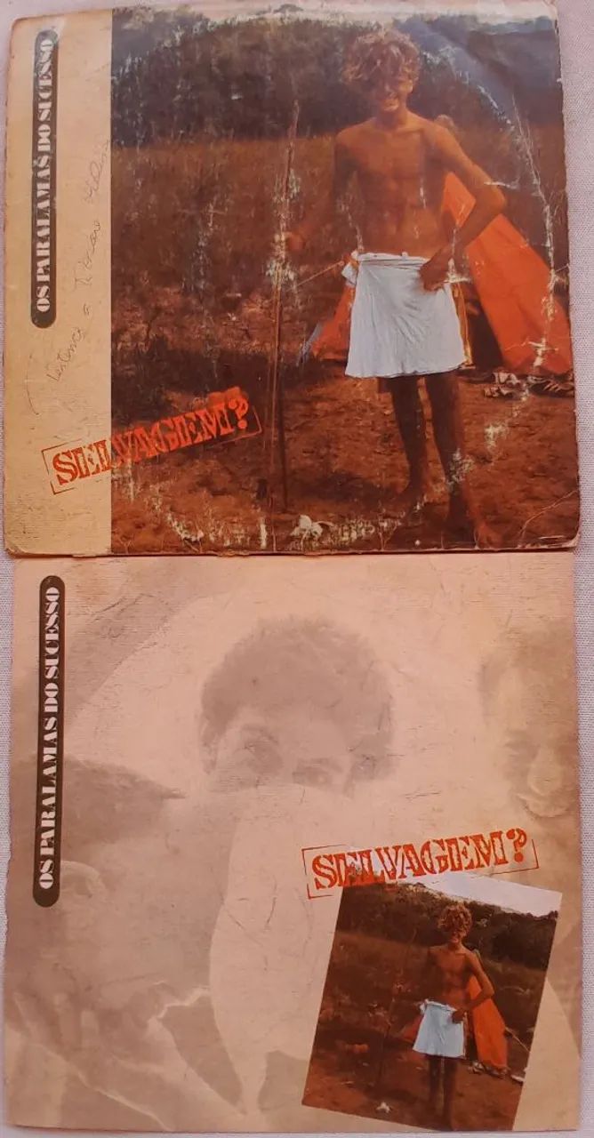 Disco de vinil OS Paralamas do Sucesso 