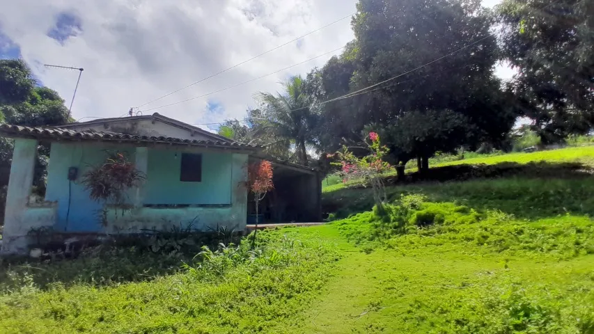 Vende-se Sítio/Chácara com 10000m² bem localizado no distrito de Roma de cima - Bananeiras