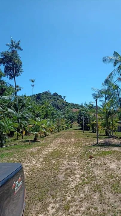 Igarapé - Foto 4