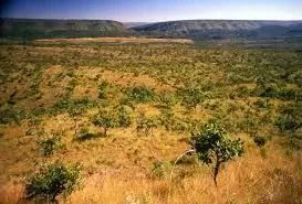CERRADO MARANHÃO: Fazenda à venda de 52.000ha ideal para garantia bancária. - Foto 4