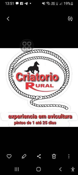 Criatório Rural - Experiência em Avicultura