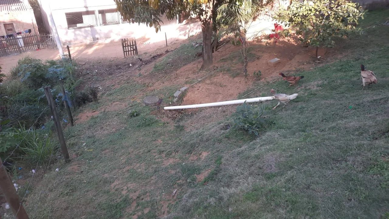 Terreno Jardim Campo Grande  - Foto 2