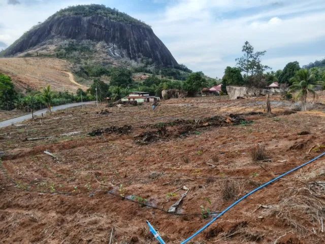 Vendo propriedade com 1 alqueire e um pouco 5.6 - Foto 2
