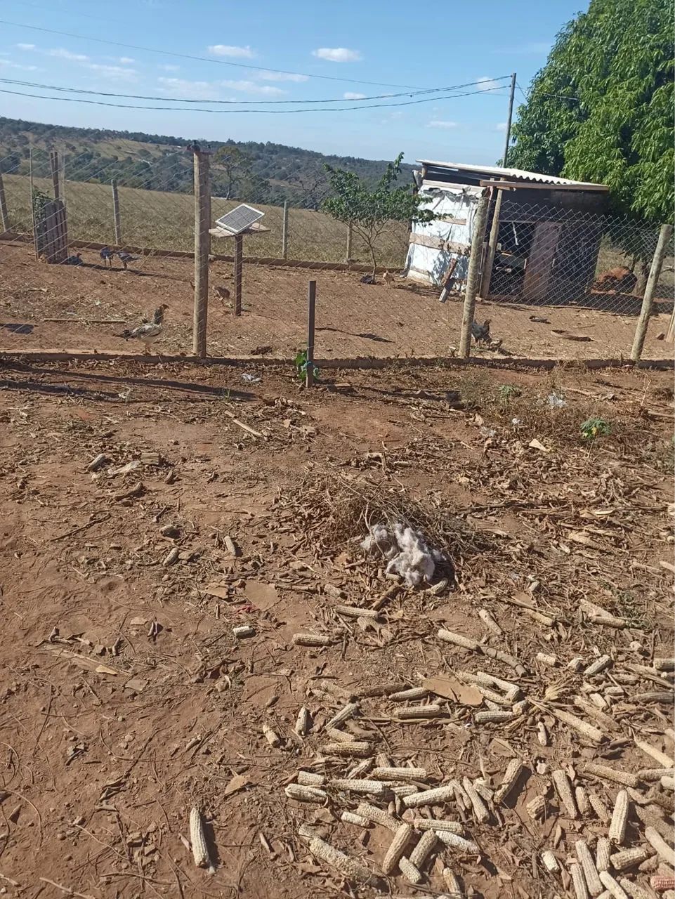 Chácara a 1 km de Caldazinha  - Foto 3