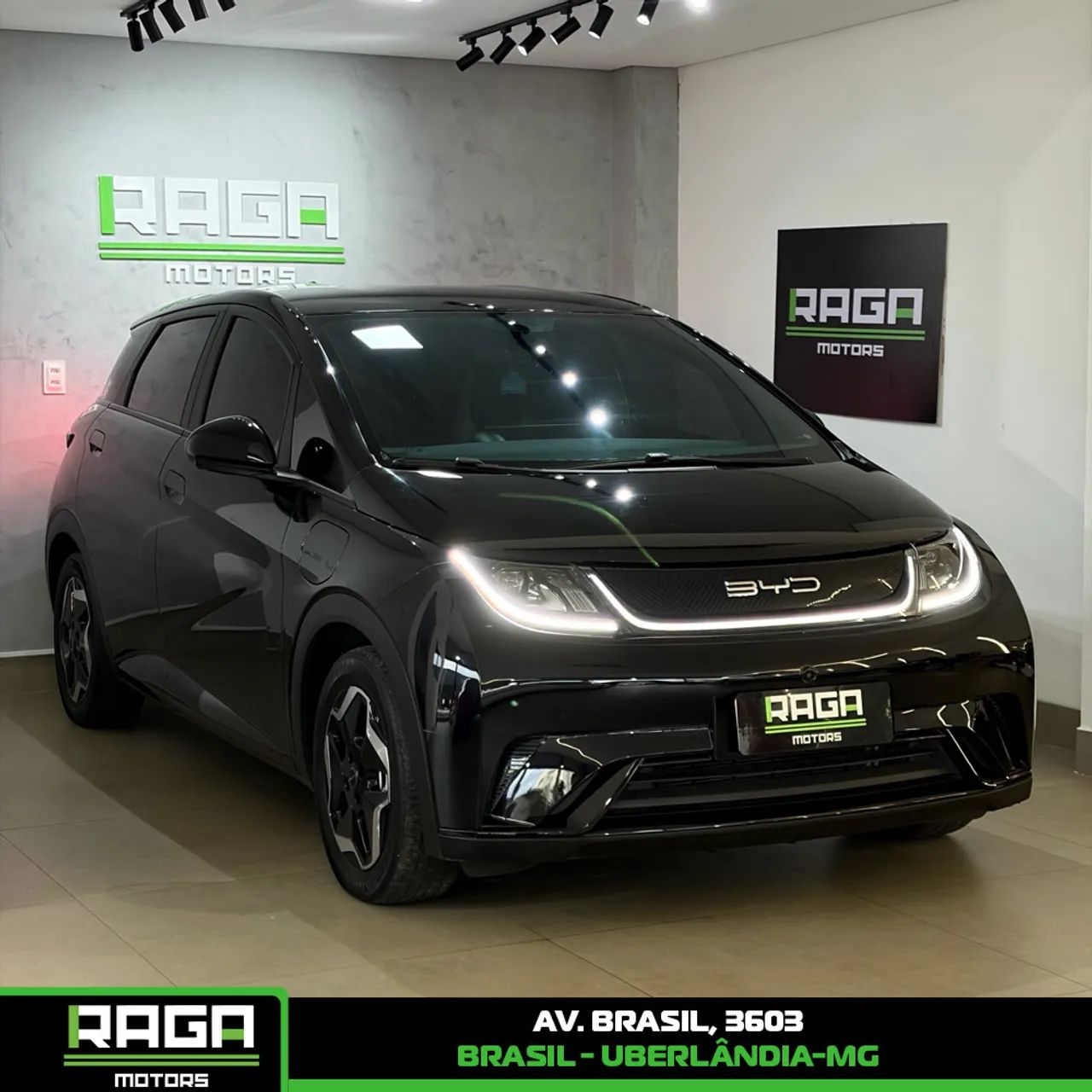 BYD Dolphin EV (Elétrico) 2024 - Foto 3