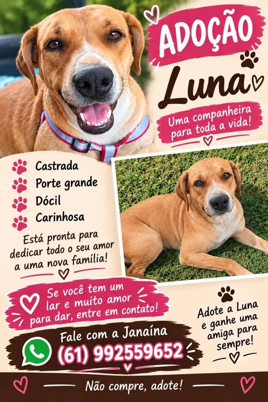 Cachorra  - Foto 2