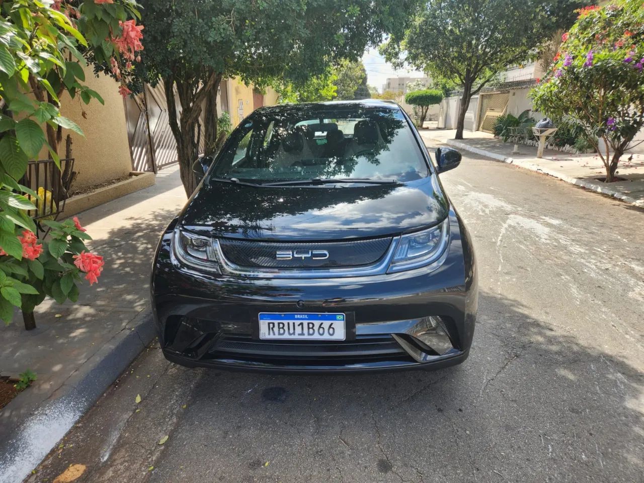 BYD Dolphin EV (Elétrico) 2024 - Foto 2