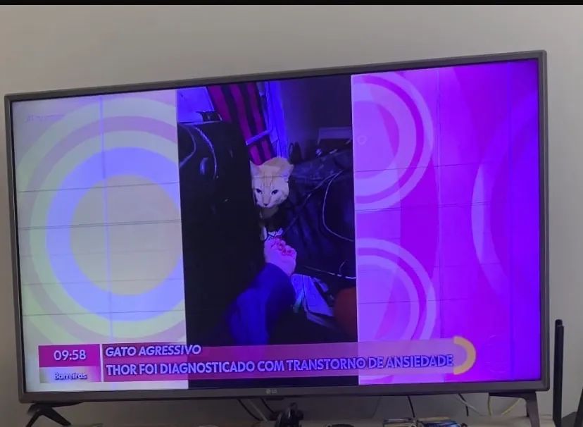 Tv 4k LG 43? Led (Precisa de reparo)