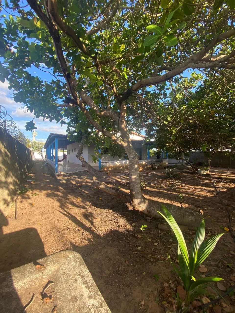 Granja com Casa, Piscina e Estrutura Completa em São José do Mipibu - valor negociável  - Foto 8