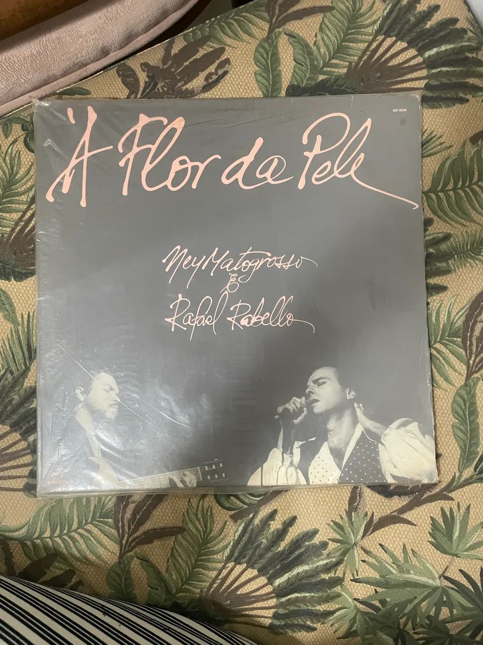 LP Vinil Ney Matogrosso & Raphael Rabello - À Flor da Pele (1990)