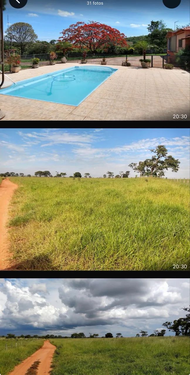Fazenda dupla aptidão comendador gomes  - Foto 2