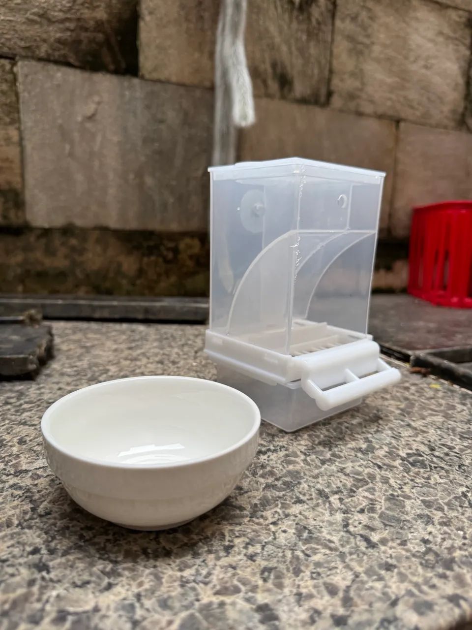 VENDO GAIOLA COM ACESSÓRIOS  - Foto 4