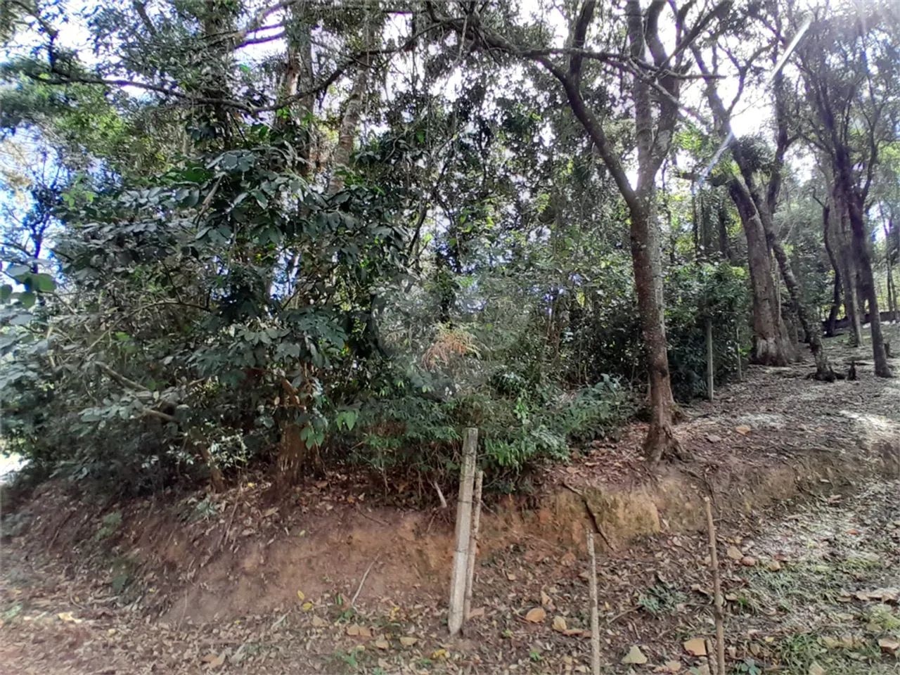 Terreno à venda em Chácara arantes - SP - Foto 5