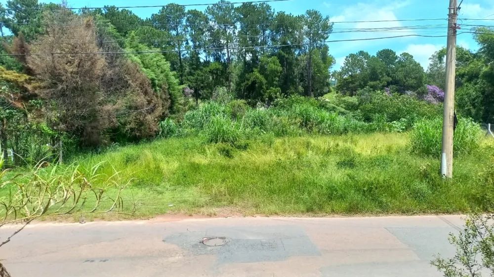 Terreno à venda no bairro Parque Centenário com área disponível e 0 dormitórios/quartos. - Foto 3