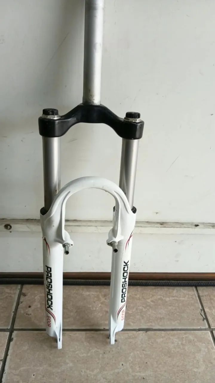 Garfo Aro 26 Proschock