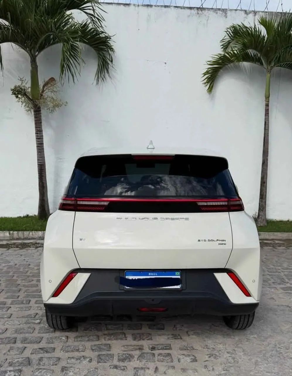 BYD Dolphin Plus (Elétrico) 2025 - Foto 3