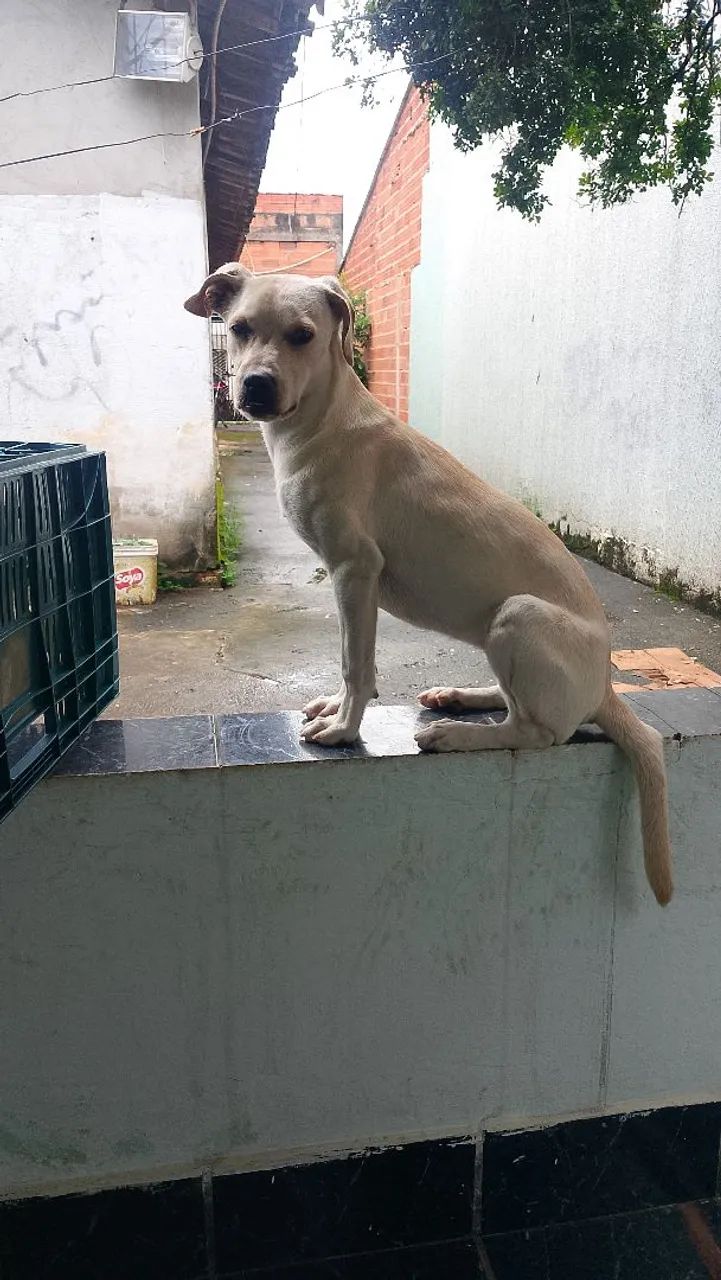 DOAÇÃO  - Foto 2
