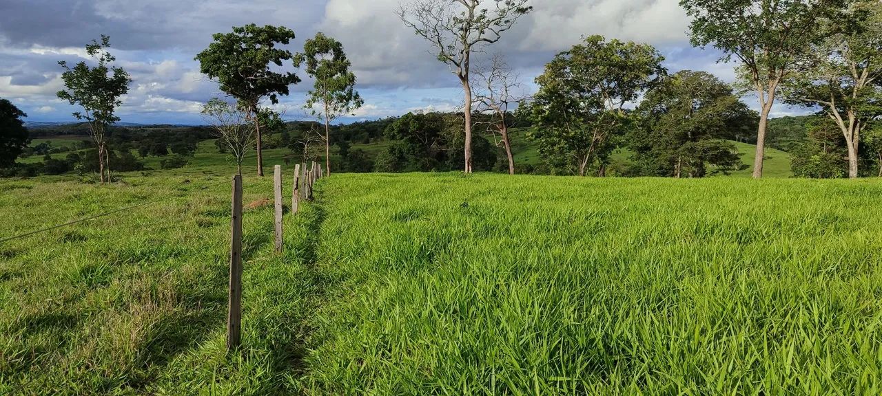 Chácara em Bela VISTA 