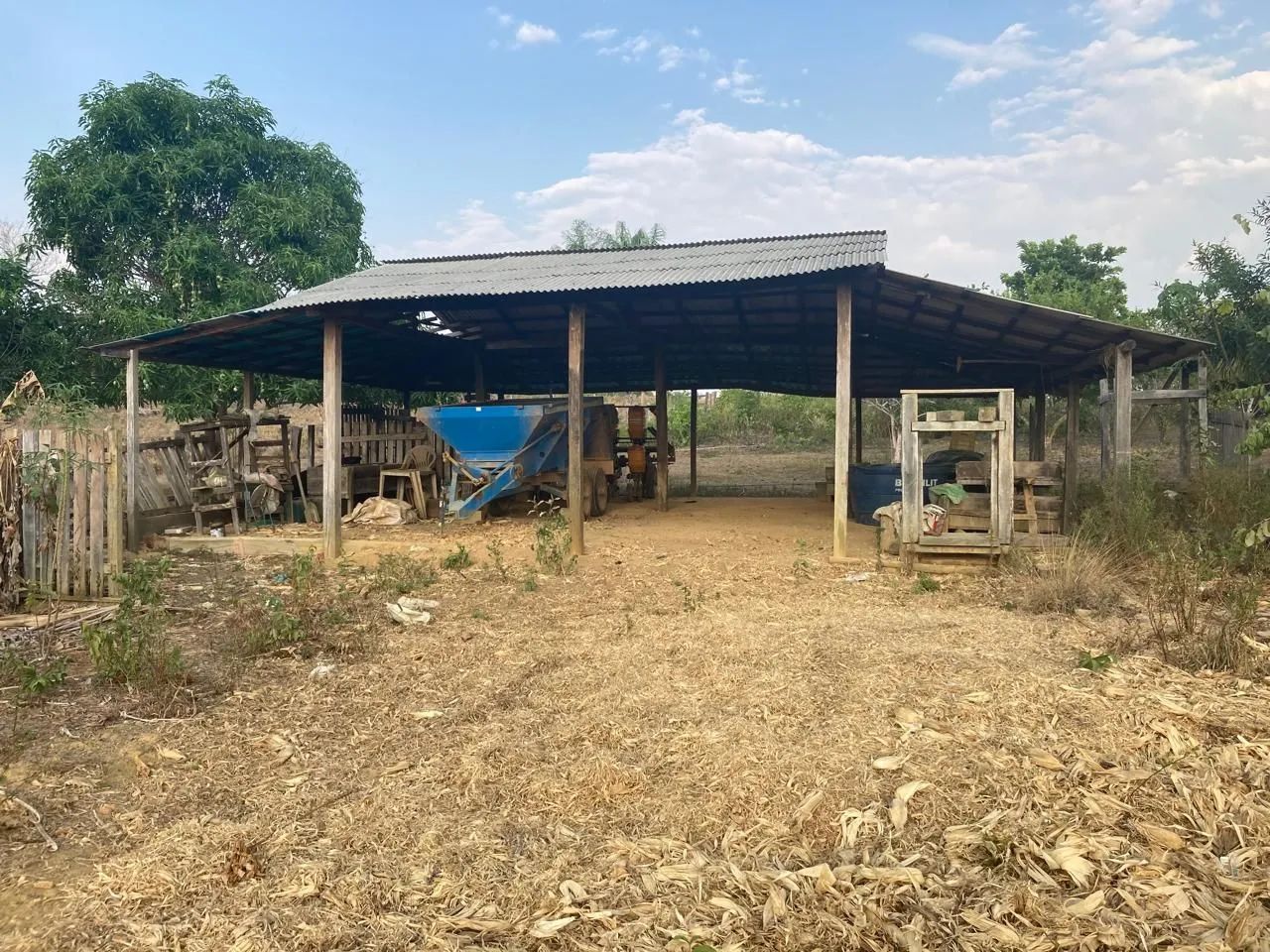  FAZENDA À VENDA ? IRACEMA/RR<br> - Foto 5