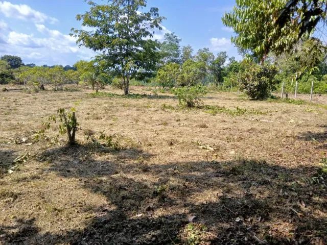 Dois Terrenos à venda em Tonantins - AM
