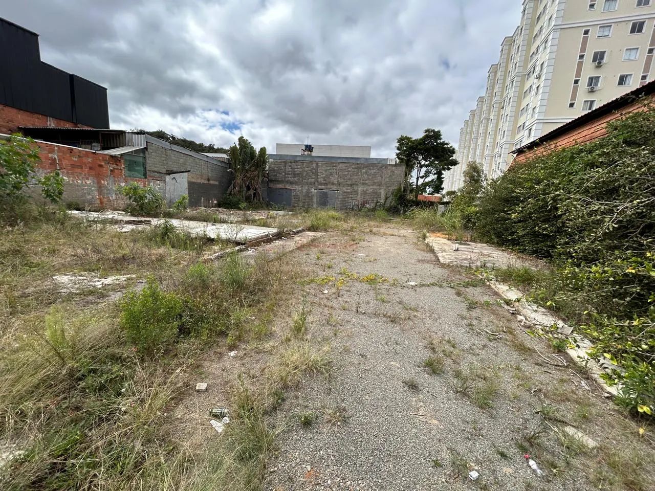 Lote / Terreno - São Pedro - Foto 3