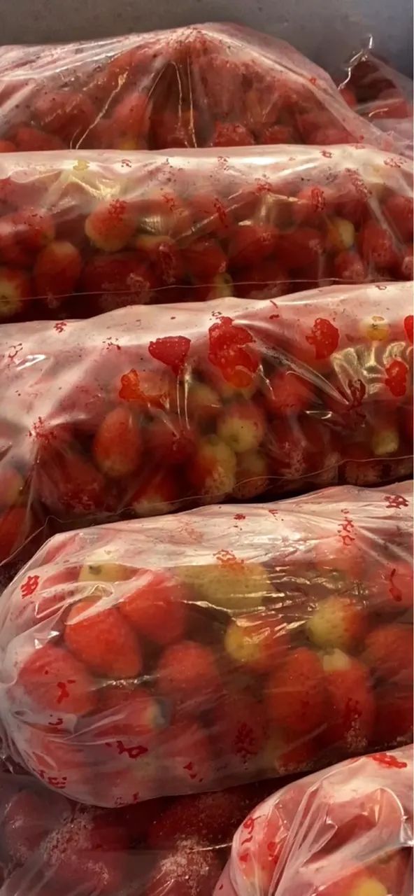 Morangos Congelados do NORDESTE - Foto 3
