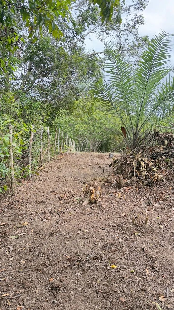 Terreno Tipo Sítio - Foto 2