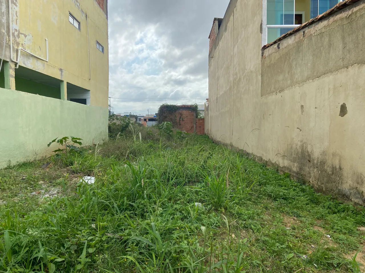Foto - Campos dos Goytacazes - Parque São Silvestre