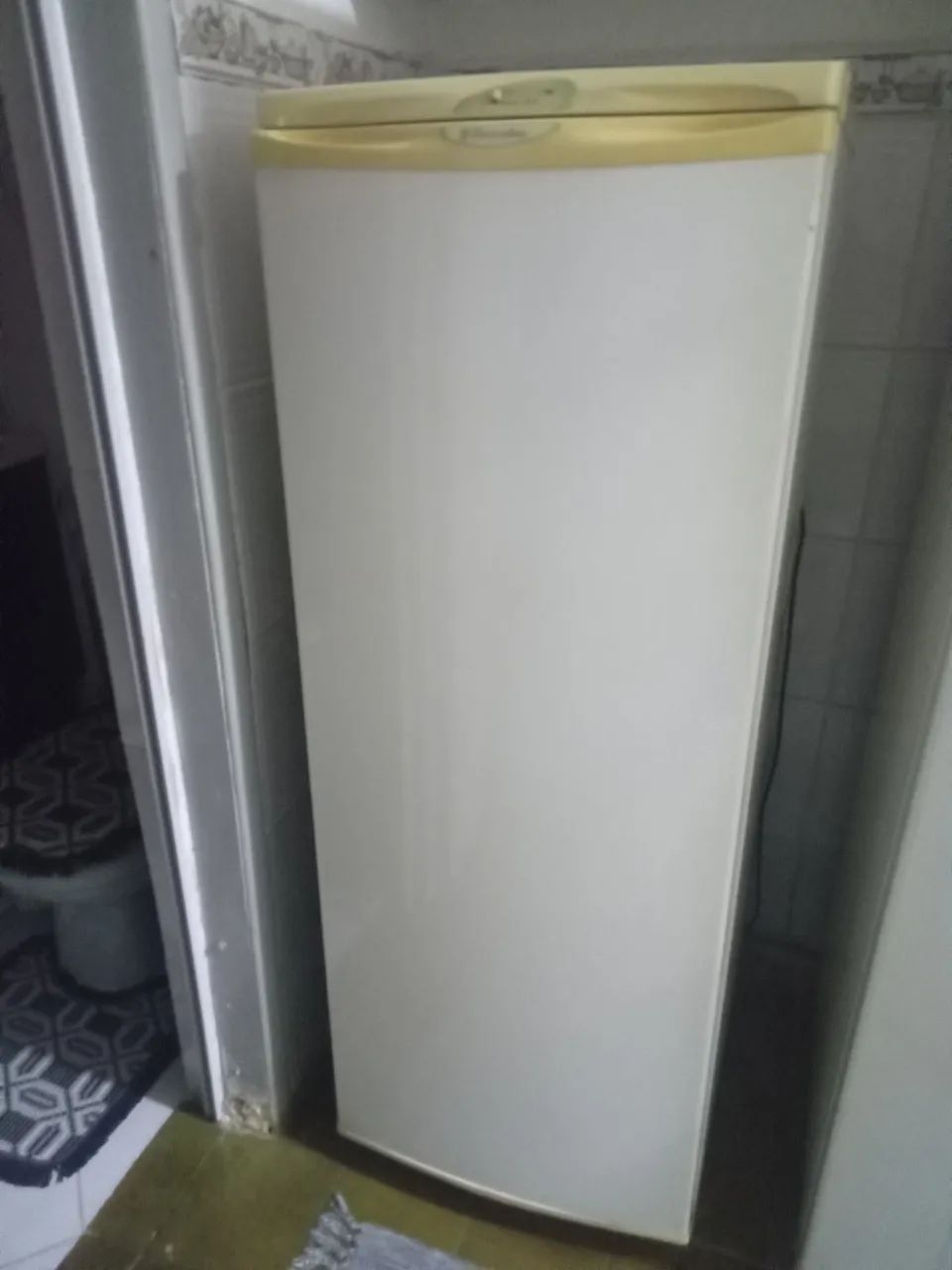 Freezer Vertical Electrolux 