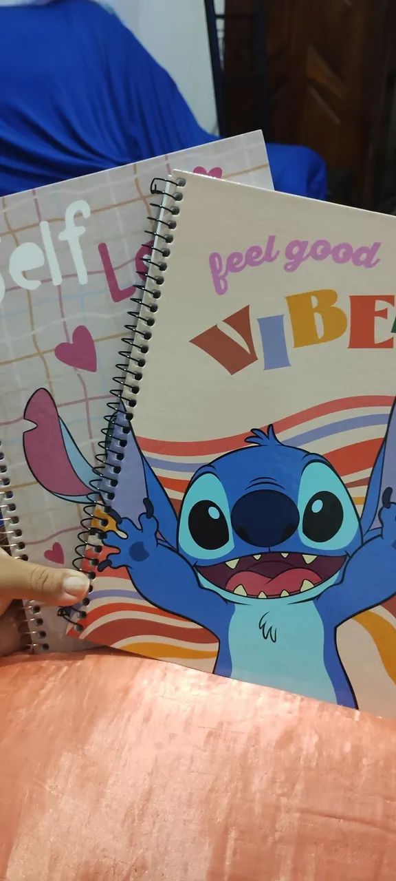 2 cadernos grande stitch 